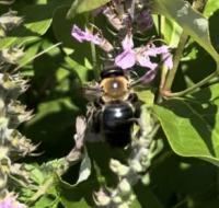 View photo in a new window