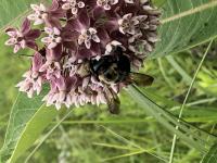 View photo in a new window