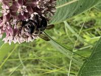 View photo in a new window