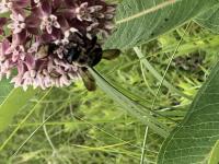 View photo in a new window