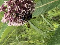 View photo in a new window