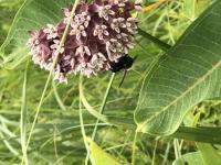 View photo in a new window