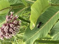 View photo in a new window