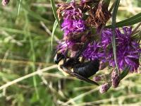 View photo in a new window