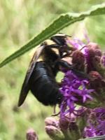 View photo in a new window