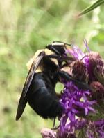 View photo in a new window