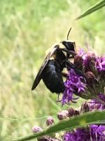 View photo in a new window