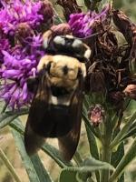 View photo in a new window