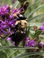 View photo in a new window