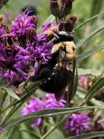 View photo in a new window