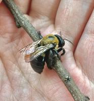 View photo in a new window