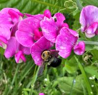 View photo in a new window