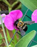 View photo in a new window