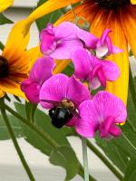 View photo in a new window