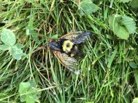 View photo in a new window