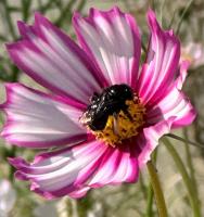 View photo in a new window