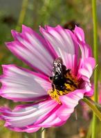 View photo in a new window