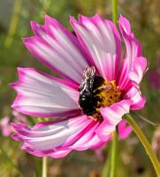 View photo in a new window