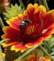 View photo in a new window