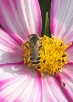 View photo in a new window