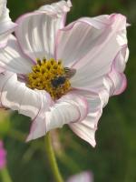 View photo in a new window