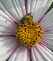 View photo in a new window