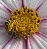 View photo in a new window