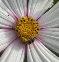 View photo in a new window