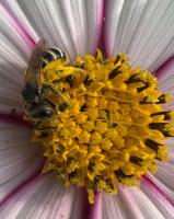 View photo in a new window