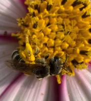 View photo in a new window