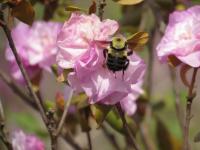 View photo in a new window