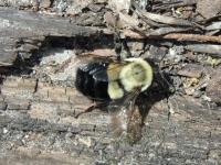 View photo in a new window