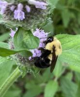 View photo in a new window