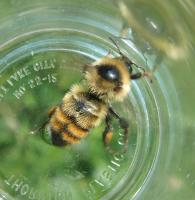 View photo in a new window