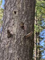 View photo in a new window