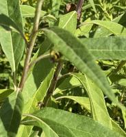 View photo in a new window