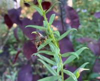 View photo in a new window