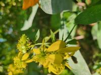 View photo in a new window