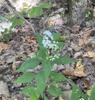 View photo in a new window