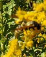 View photo in a new window