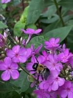 View photo in a new window