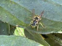 View photo in a new window