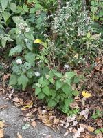 View photo in a new window