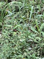 View photo in a new window