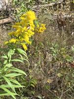 View photo in a new window