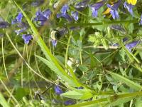 View photo in a new window