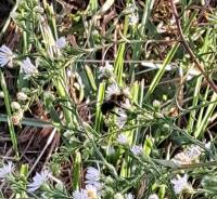 View photo in a new window