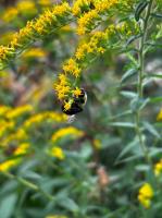 View photo in a new window