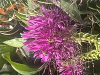 View photo in a new window