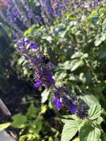 View photo in a new window